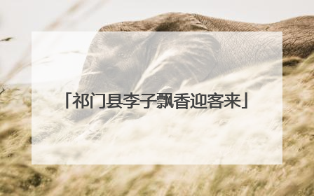 祁门县李子飘香迎客来